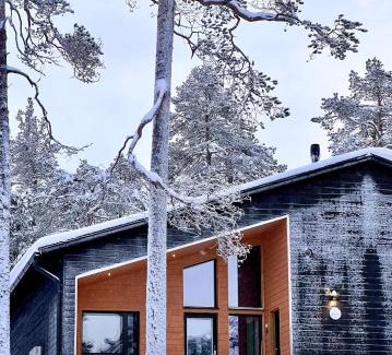 Akaslompolo Apartment | Villa Alveus - Modern Design villa, 3 bdr