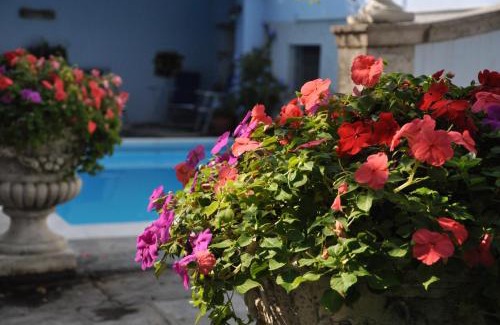 Domaso Bed & Breakfast | Villa Annamaria B&B