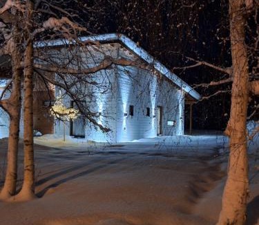 Rovaniemi House | Villa Arctic Light