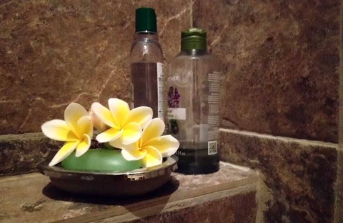 La Preneuse Villa | Villa at walking distance to the beach, few minutes ride to national park.