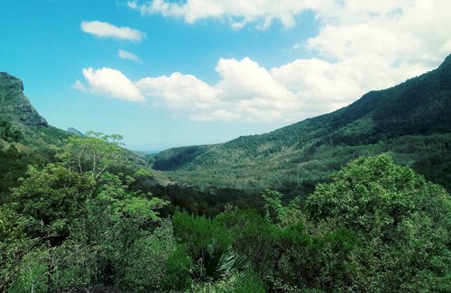 La Preneuse Villa | Villa at walking distance to the beach, few minutes ride to national park.