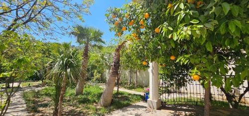 Bejaia Province Villa | Villa avec piscine en montagne