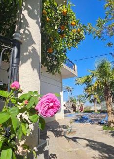 Bejaia Province Villa | Villa avec piscine en montagne