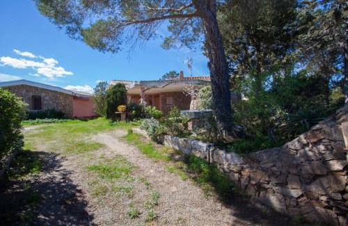 Pittulongu Ski Chalet | Villa Bados 6 - Klodge