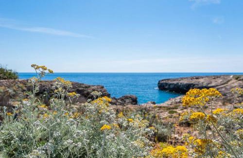 Binibequer Vell Villa | Villa Bini Chic