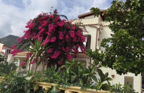 La Ciaccia House | Villa Bouganville