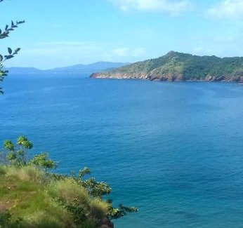 Matapalo Villa | Villa Caballo Blanco