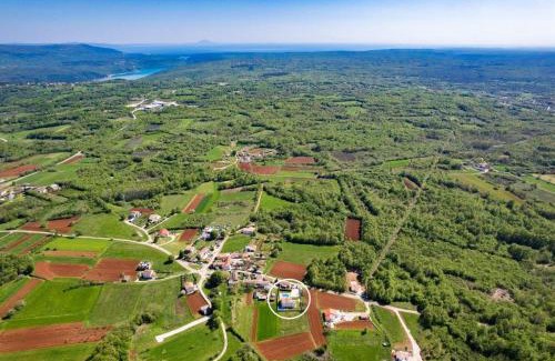 Kozljani Villa | Villa Camelie