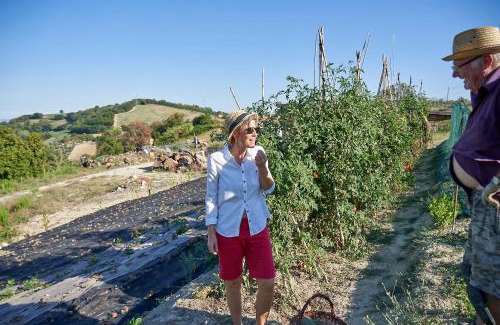 Cartoceto Bed & Breakfast | Villa Cartoceto