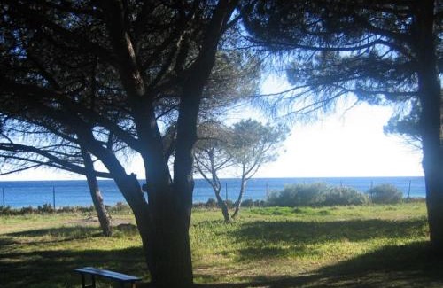 Pardigon Villa | Villa Cavalaire-sur-Mer, 3 pièces, 7 personnes - FR-1-100-201