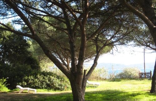 Pardigon Villa | Villa Cavalaire-sur-Mer, 3 pièces, 7 personnes - FR-1-100-201