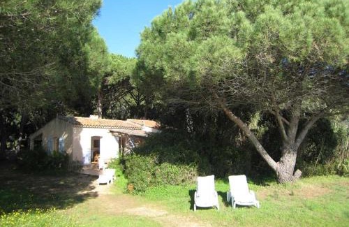 Pardigon Villa | Villa Cavalaire-sur-Mer, 3 pièces, 7 personnes - FR-1-100-201