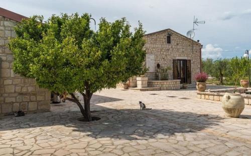 Casa Papa Villa | Villa Chiaramonte