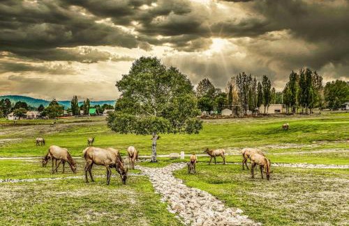 Ruidoso Apartment | Villa Con Vista with Putting Green and Hot Tub!
