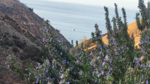 Tlemcen Province House | Villa de vacance proche de la plage