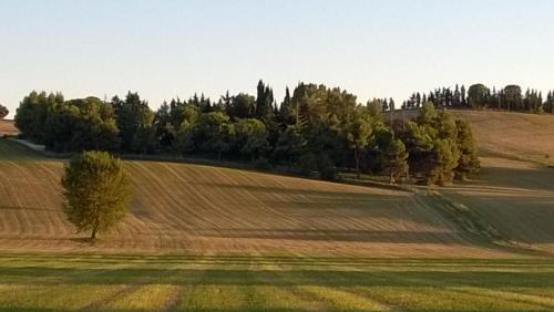 Sant'Elpidio a Mare Villa | Villa degli Scoiattoli