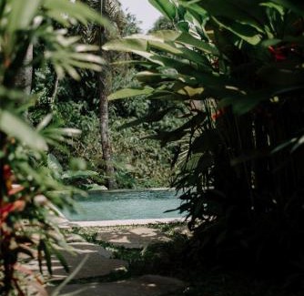 Ubud City-Centre Villa | Villa Dharuna Ubud