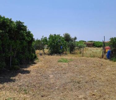 Agia Ermioni Apartment | Villa Dreamy View