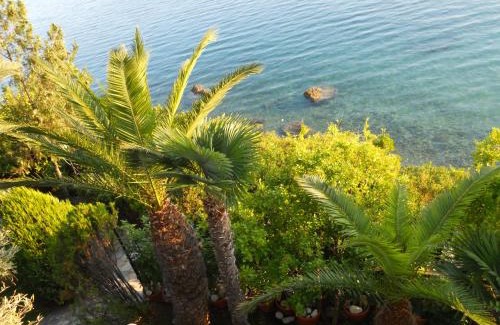 Horto Apartment | Villa Electra