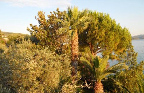 Horto Apartment | Villa Electra