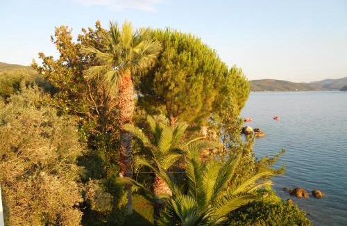 Horto Apartment | Villa Electra