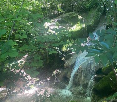 Roe House | Villa Faro