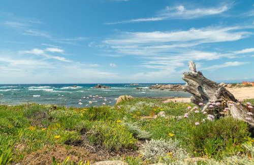 Portobello Villa | Villa Gabbiani