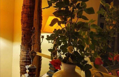 Menara Villa | villa hibiscus marrakech