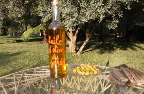 Menara Villa | villa hibiscus marrakech