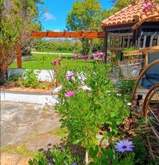 Tacoronte Apartment | Villa Ilusión