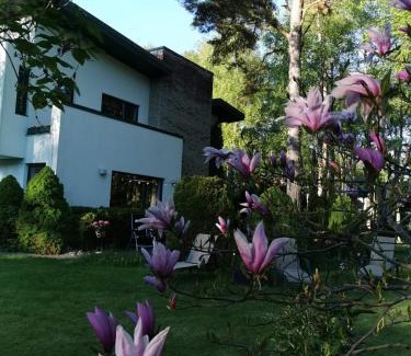 Pirita Villa | Villa in Tallinn near popular beach