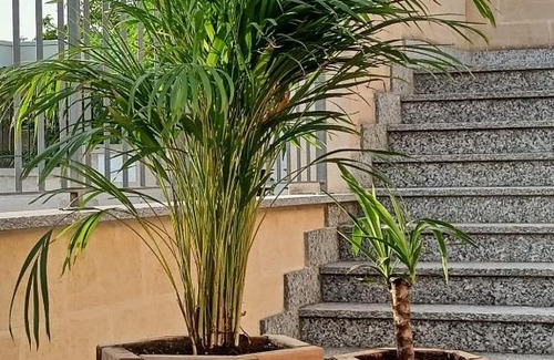 Torricella Apartment | Villa Italia