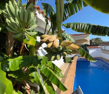 Vinaros House | Villa Juani