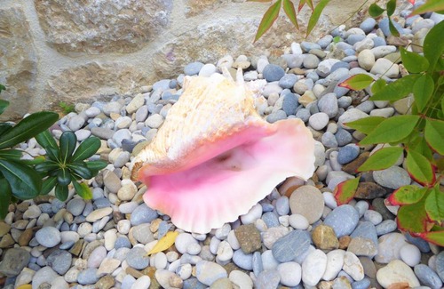 Rovanjska Villa | Villa KALINAGO - PRIVATE POOL - SEA VIEW