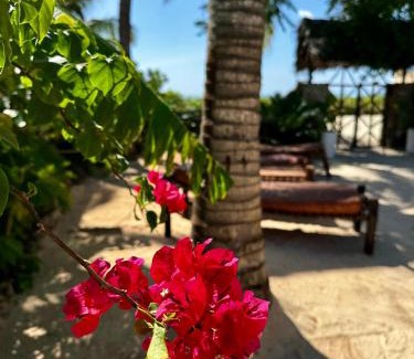 Pwani Mchangani Villa | Villa Kipara - Sea front with Private Pool & Jacuzzi