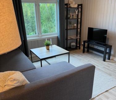 Notodden Apartment | Villa Loftet, fin og moderne leilighet sentralt