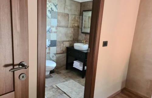 Gostinjac Villa | Villa LuLu kamena villa s maslinikom otok Krk Dobrinj selo Gostinjac