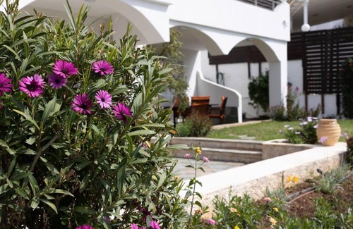 Palaia Fokaia Villa | Villa Mare Nostrum Sounio