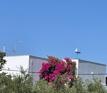 Agrilos Villa | Villa Messinia
