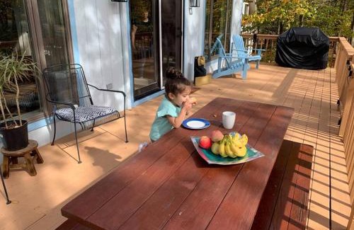 Lake Ariel Ski Chalet | Villa MiaNova A Modern Hideout in the Woods