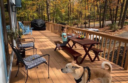 Lake Ariel Ski Chalet | Villa MiaNova A Modern Hideout in the Woods