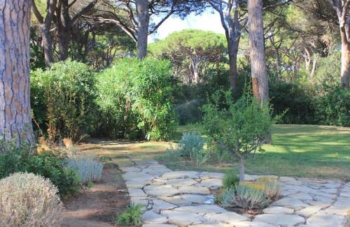 Roccamare Villa | Villa Nannia Beautiful Roccamare Private Beach