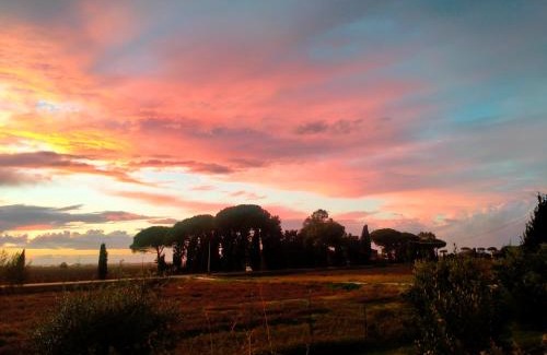 Collesalvetti Apartment | Villa Novi Tuscany