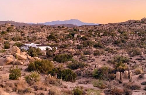 Yucca Valley House | Villa Paloma By The Cohost Company