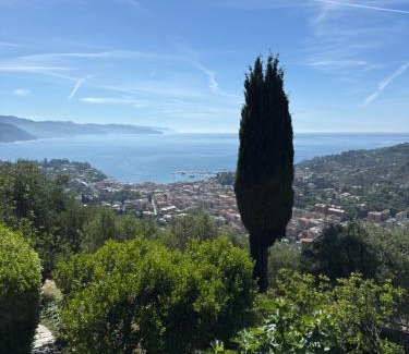 San Lorenzo della Costa Villa | Villa Panorama with beautiful private garden