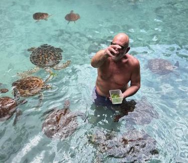 Nungwi Hotel | Villa Peace And Color