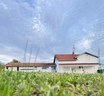 Despotovac House | Villa Perla