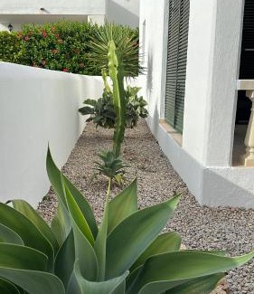 Punta Grossa House | VILLA PIÑUELO (RELAX EN EL PARAÍSO).