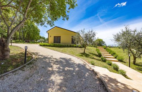 Puntera Villa | Villa Rok in beautiful olive oasis, 2BD, pool, WIFI