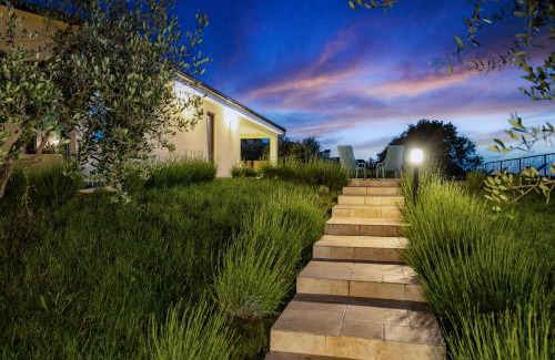 Puntera Villa | Villa Rok in beautiful olive oasis, 2BD, pool, WIFI